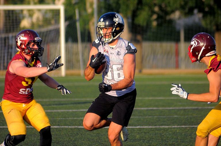 veprovi-vukovi-petar-goic-1