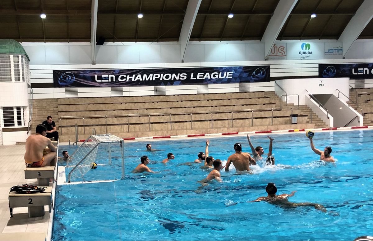 vk-radnicki-budimpesta-trening