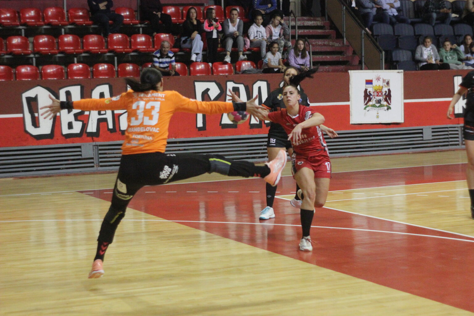 ZRK Radnicki
